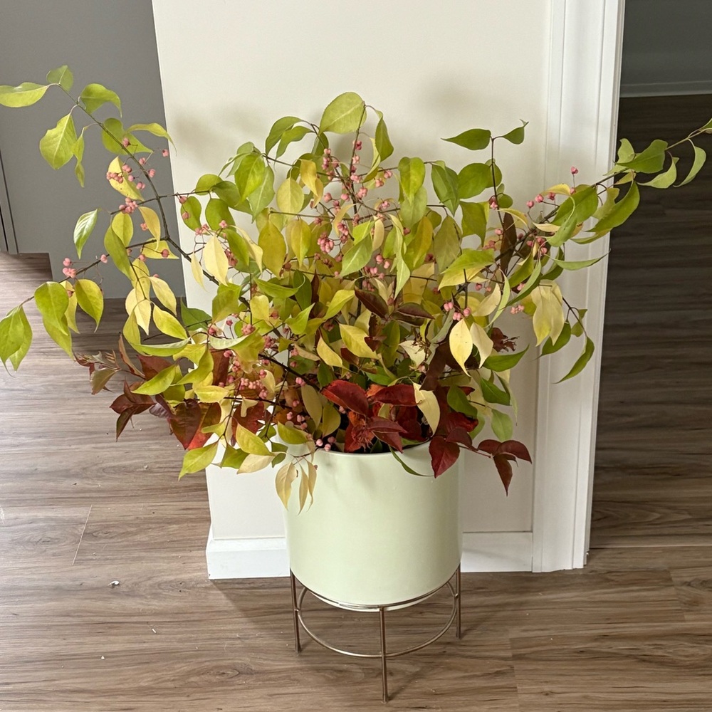 Meet your Posher, Dawn